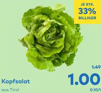 T&G Kopfsalat Angebot