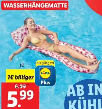 Lidl WASSERHÄNGEMATTE Angebot