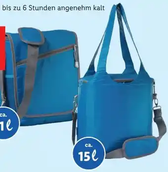 Lidl Bierkisten-Kühltasche Angebot