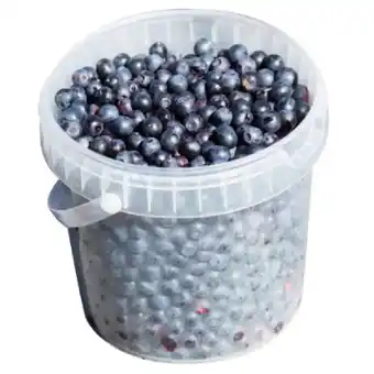 MPreis Heidelbeeren MPREIS 500 Gramm 1 Packung Angebot