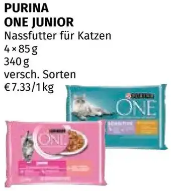 Müller PURINA ONE JUNIOR Angebot