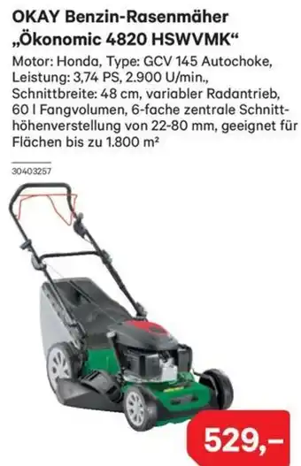 Lagerhaus OKAY Benzin-Rasenmäher Ökonomic 4820 HSWVMK Angebot