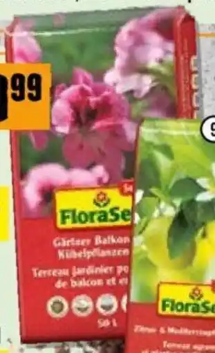 Hornbach Balkon- & Kübel- pflanzenerde Angebot