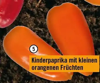 Hornbach Paprika Hamik Angebot