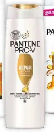 Müller Pantene PRO-V Haarshampoo Repair & Care Angebot