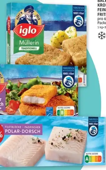 PENNY Polar-Dorsch Angebot