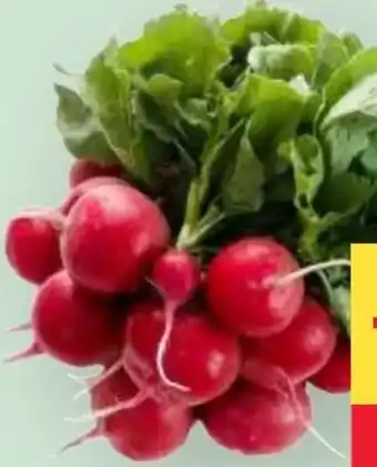MPreis Radieschen Angebot
