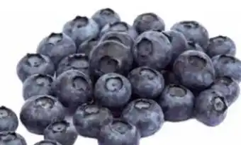Transgourmet Heidelbeeren Angebot