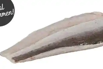 Transgourmet Kap Seehechtfilet Angebot