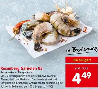 Interspar Rosenberg Garnelen U5 Angebot