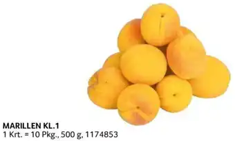 Transgourmet MARILLEN KL.1 Angebot