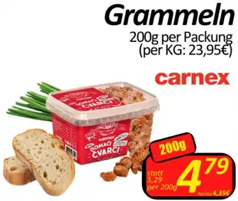 Wurstico Grammeln Angebot