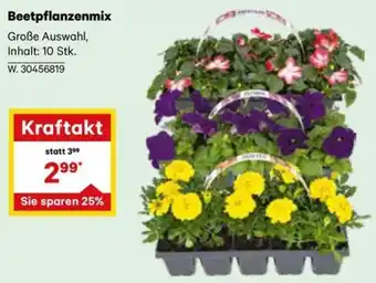 Lagerhaus Beetpflanzenmix Angebot