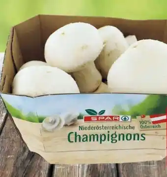 Eurospar Champignon Angebot
