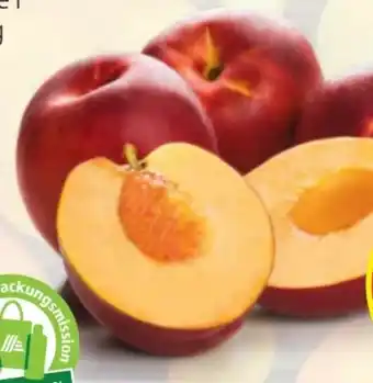 Hofer Nektarinen Angebot