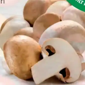 Hofer Champignons Angebot