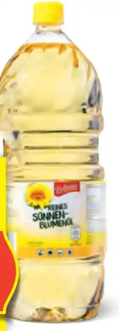 Hofer Sonnenblumenöl Angebot