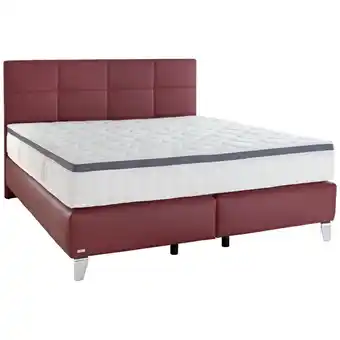 XXXLutz Boxspringbett 160/200 cm in Bordeaux Angebot