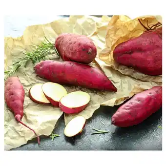 Dehner Dehner Gourmet Garten Süsskartoffel versch. Sorten Dehner 1 Stück Angebot