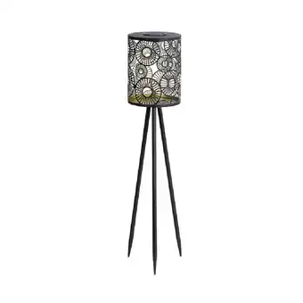 Dehner Dehner Solar-Laterne „Rabat” H69 Dehner 1 Stück Angebot