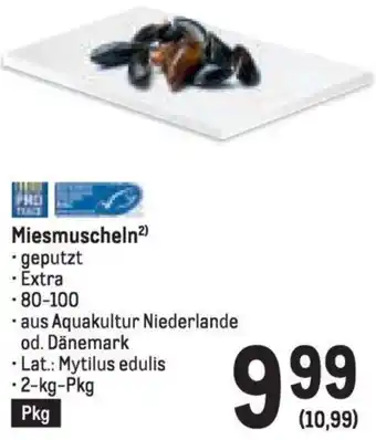 Metro Miesmuscheln Angebot