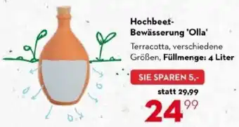 Bellaflora Hochbeet- Bewässerung 'Olla' Angebot