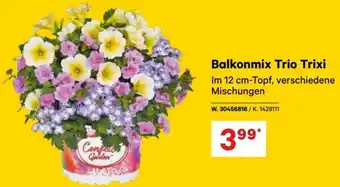 Lagerhaus Balkonmix Trio Trixi Angebot