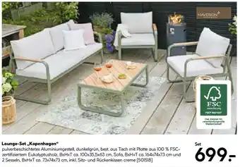 Hellweg Lounge-Set Kopenhagen Angebot