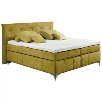 XXXLutz Boxspringbett 180/200 cm in Olivgrün Angebot