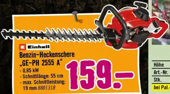 Hornbach Benzin-Heckenschere Angebot