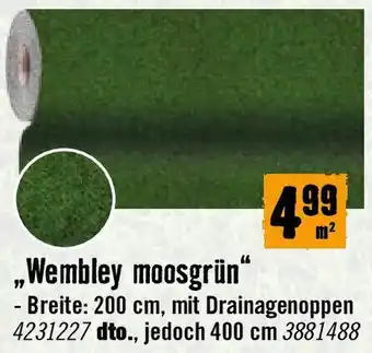 Hornbach Wembley moosgrün Angebot