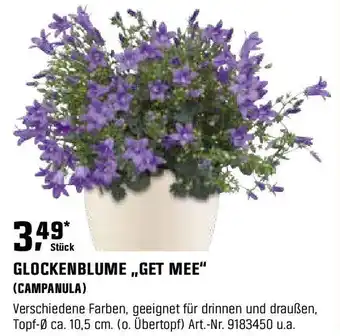 OBI GLOCKENBLUME GET MEE Angebot