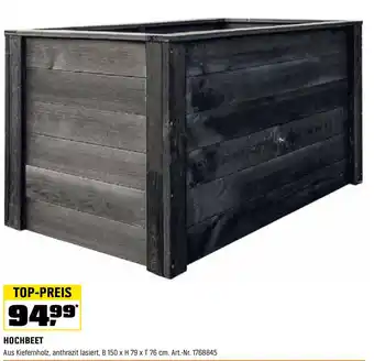 OBI HOCHBEET Angebot