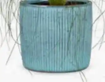 Bellaflora Topf Solido Linea Angebot