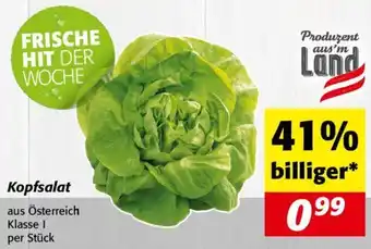 Nah&Frisch Kopfsalat Angebot