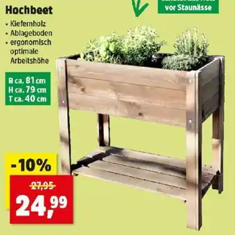 Thomas Philipps Hochbeet Angebot