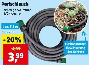 Thomas Philipps Perlschlauch Angebot