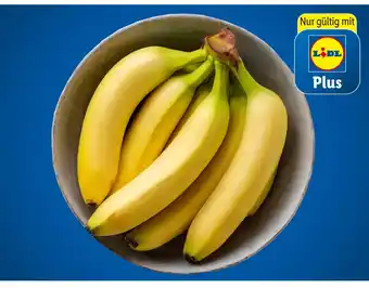 Lidl Bananen Lidl Plus Vorteilspreis 1 Kilogramm Angebot
