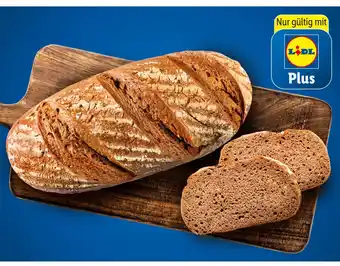 Lidl Waldviertler Roggenwecken Lidl Plus Vorteilspreis 500 Gramm Angebot