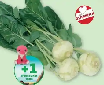 PENNY Kohlrabi Angebot