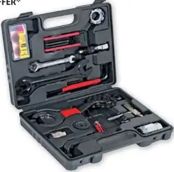 PENNY Werkzeugkoffer Angebot