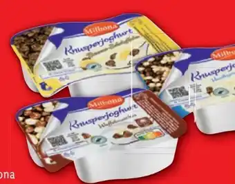 Lidl 2 Kammer Joghurt Angebot