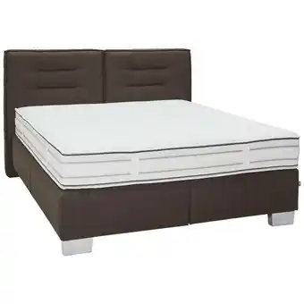 XXXLutz Boxspringbett 200/200 cm in Dunkelbraun Angebot