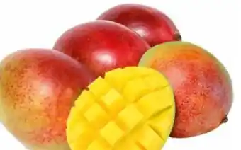 Transgourmet Mango Angebot