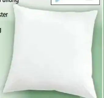 Norma Kopfkissen Angebot