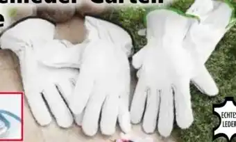 Norma Ziegenleder-Handschuhe Angebot
