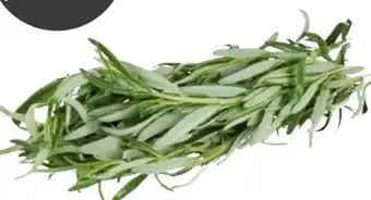 Transgourmet Rosmarin Angebot