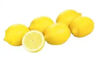 Transgourmet Bio Zitronen Angebot