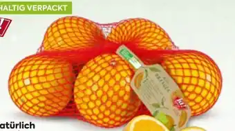 Billa Bio Orangen Angebot