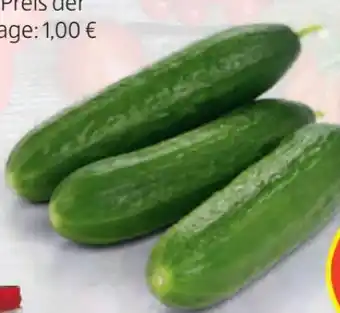 Hofer Midi Gurken Angebot